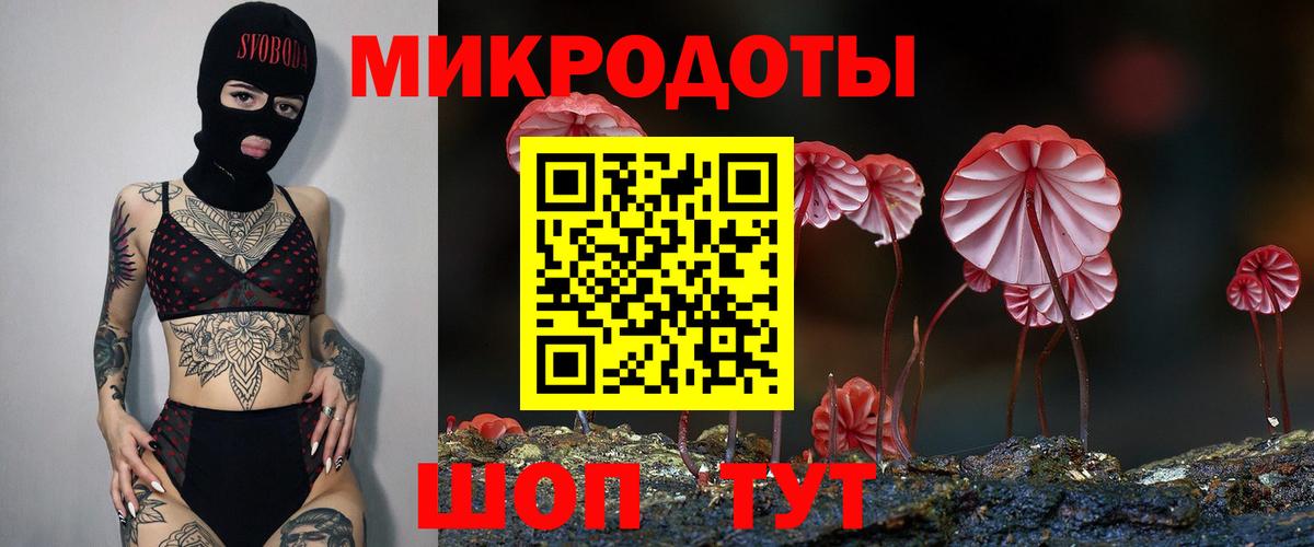 Псилоцибиновые грибы Psilocybine cubensis Бердск