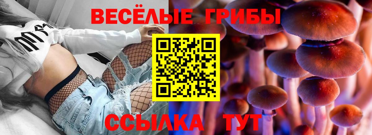 Псилоцибиновые грибы Magic Shrooms  Вход с VPN  Псилоцибиновые грибы мухоморы  Бердск 
